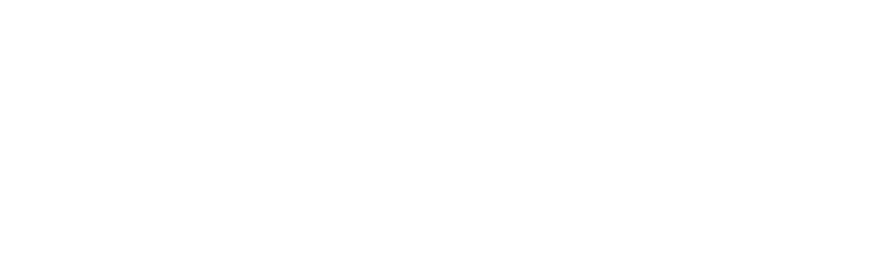 Betfair Logo