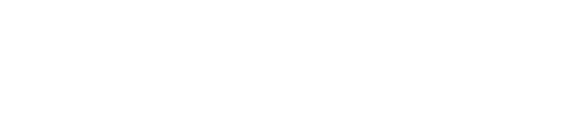 Boylesports Logo