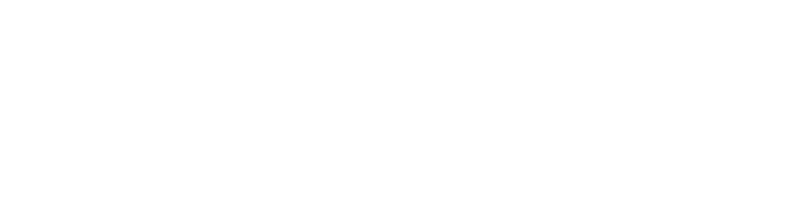 Fansbet Logo