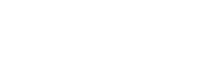 Mr Play Logo