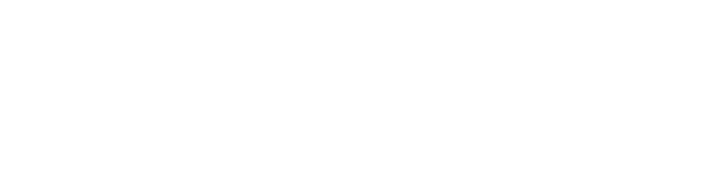 NetBet Logo