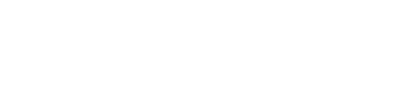 Sportnation Logo